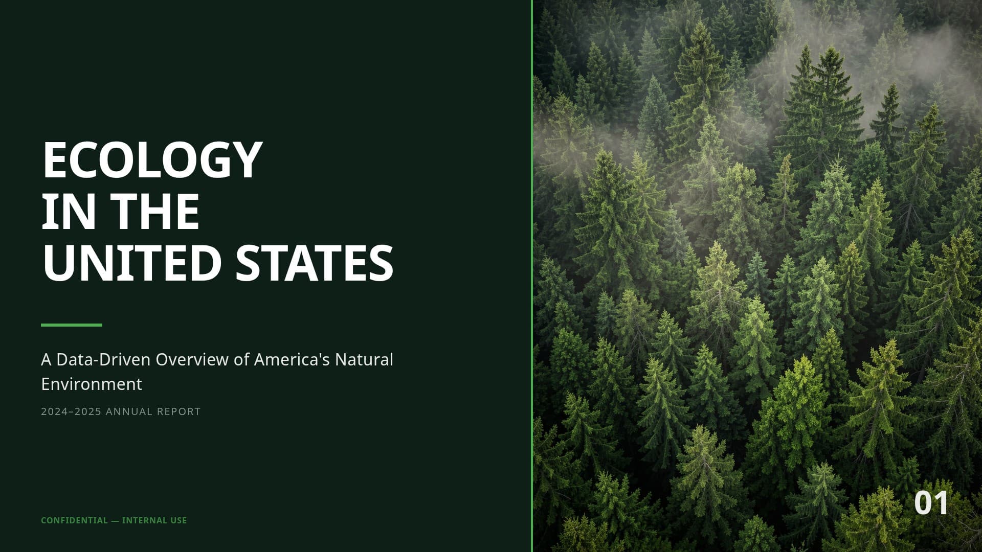 Ecology in the United States — Bobr AI generated slide, Canva alternative